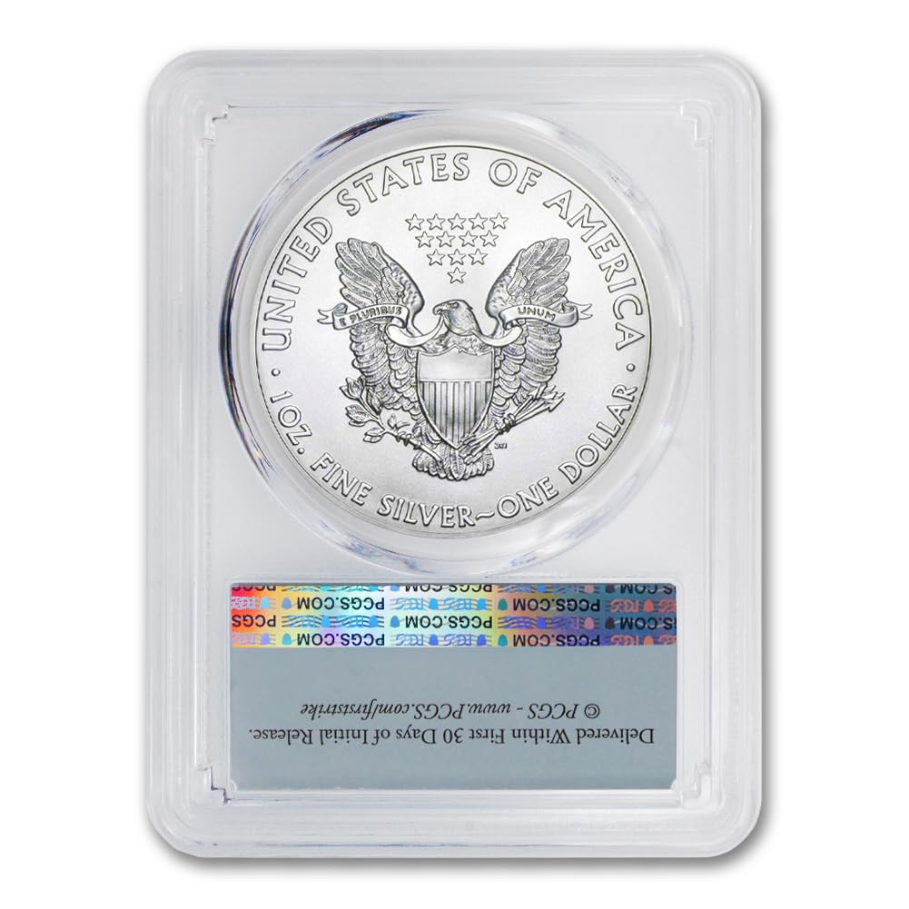 2003 (W) 1 oz American Silver Eagle Coin Review