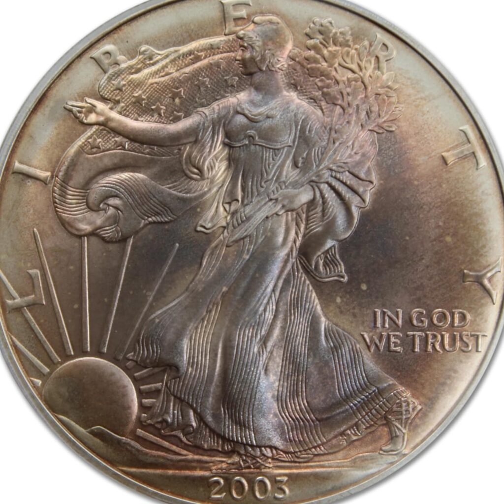 2003 (W) 1 oz American Silver Eagle Coin Gem Uncirculated (Mild to Severe Toning - First Strike - Struck at West Point - Flag Label) $1 PCGS GEMUNC