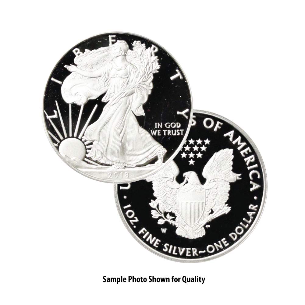 2018 Silver American Eagle Coin Review