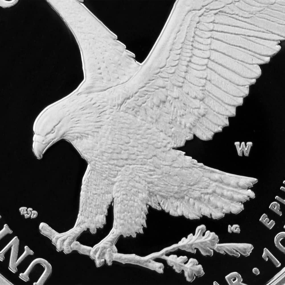 2024 W 1 oz American Eagle Silver Eagle Proof Coin PR-69 Review